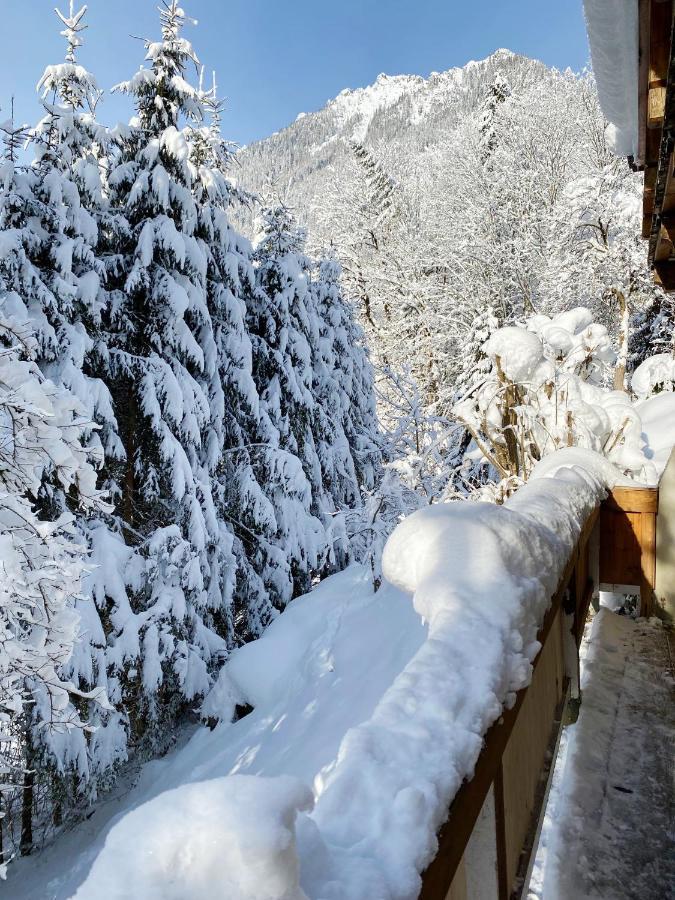 Appartement Steinfisch Ramsau am Dachstein Dış mekan fotoğraf