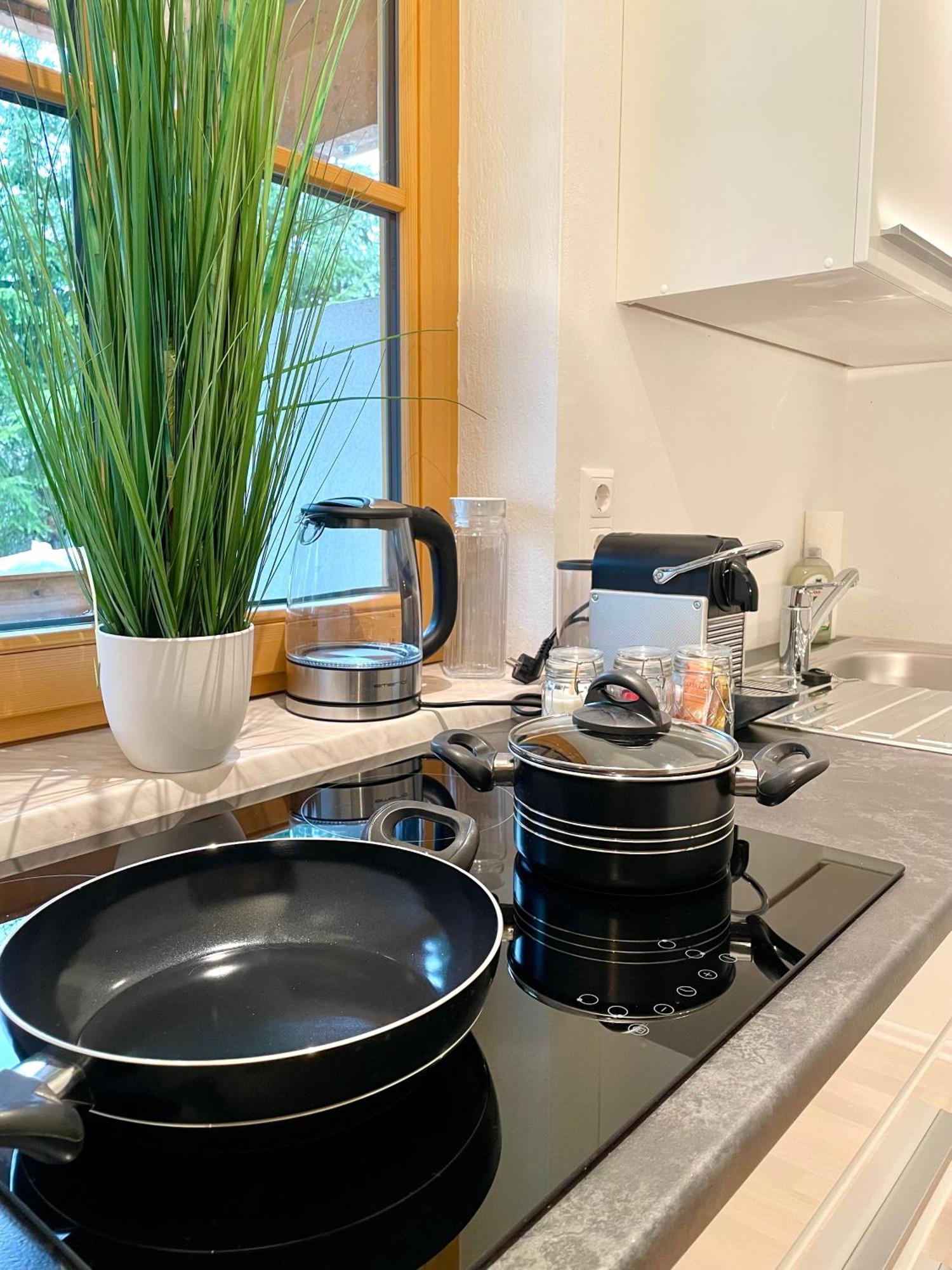 Appartement Steinfisch Ramsau am Dachstein Dış mekan fotoğraf