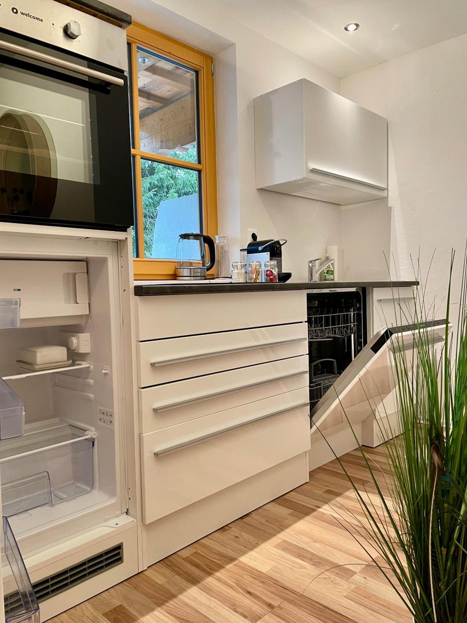 Appartement Steinfisch Ramsau am Dachstein Dış mekan fotoğraf