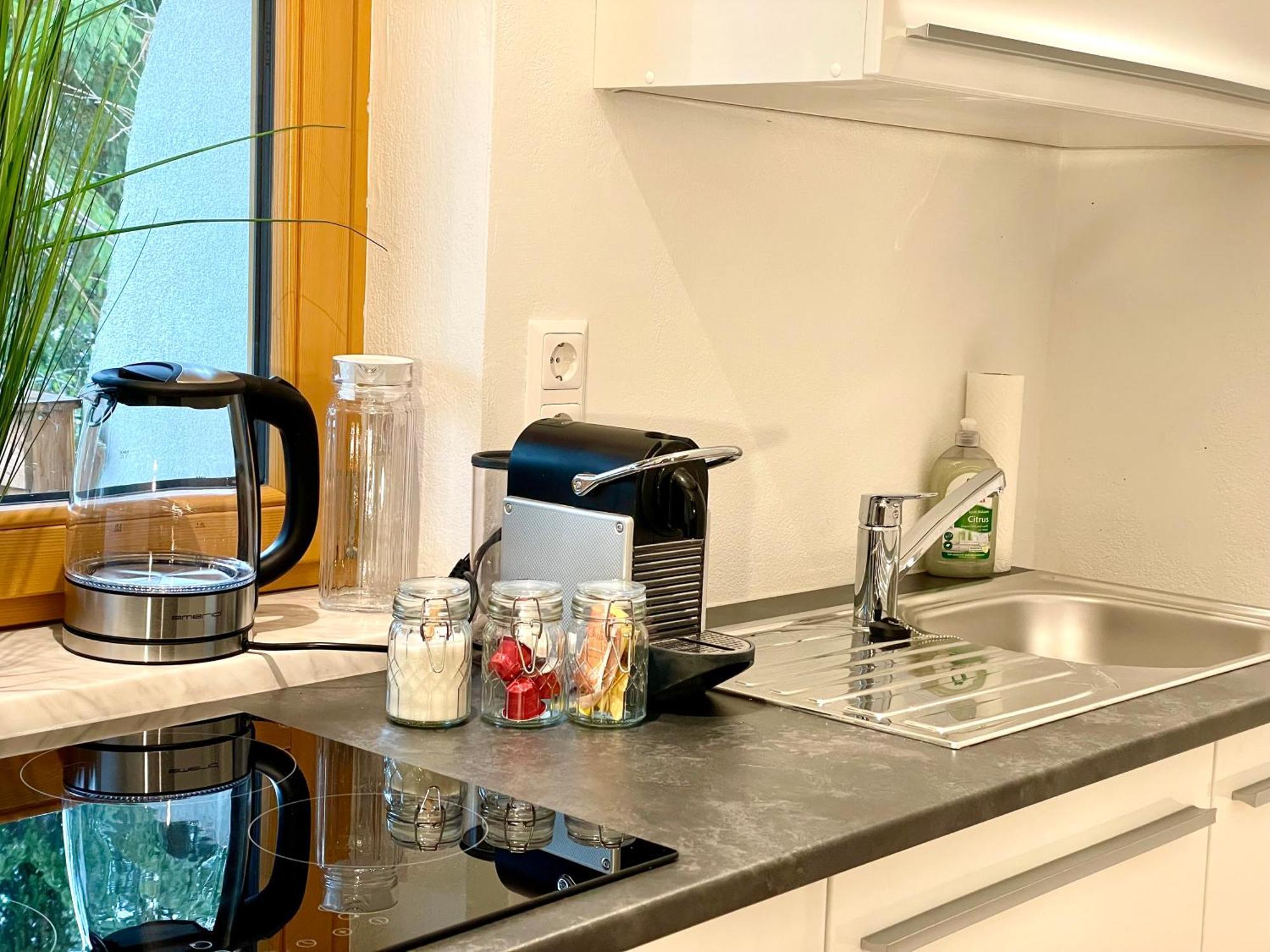 Appartement Steinfisch Ramsau am Dachstein Dış mekan fotoğraf